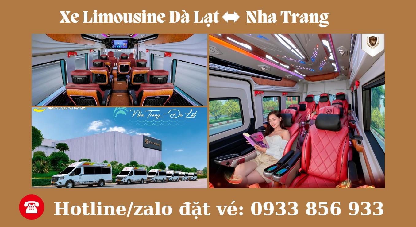 Nhà xe Đất Mới Limousine tuyến Nha Trang - Đà Lạt: Trải nghiệm di chuyển đẳng cấp, tiện nghi vượt trội