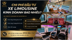 Chi phí đầu tư xe limousine kinh doanh bao nhiêu?